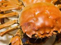 活螃蟹的最佳保存方法