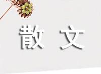 流光碎影爱如炬散文欣赏