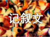 我的成长故事记叙文