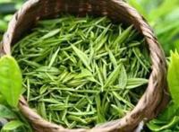绿茶功效与作用有哪些
