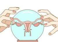 女性妇科有哪些疾病