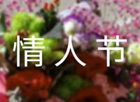 简短唯美情人节祝福