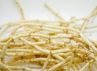 鱼腥草的功效与作用和主治