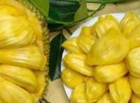 菠萝蜜的功效与作用上火还是降火
