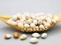 白果的功效与作用一天吃几个