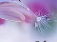 二十四节气寒露的含义是什么