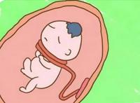 梦见脐带的意思