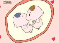 怀双胞胎的早孕症状