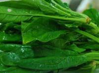 常见的100种蔬菜名称