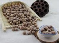莲子的功效与作用禁忌