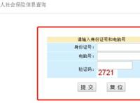社保个人账户查询系统