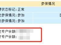 社保个人账户查询系统