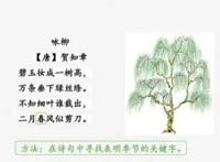 描写春天的古诗