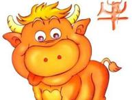 属牛配对属相婚配表