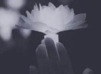 安慰朋友节哀顺变的暖心句子