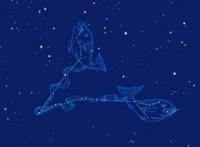 12星座的性格特点双鱼座