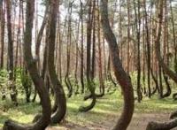 全球最诡异的十大未解之谜