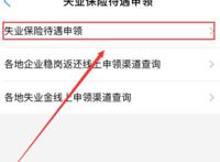 怎样领取失业补助金