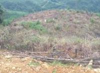 下葬吉日怎么选