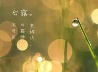 白露二十四节气