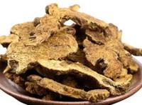 炒苍术的功效与作用