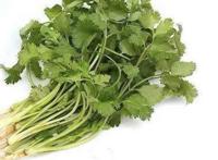 香菜的最佳吃法