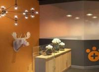 宠物店市场前景