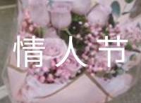 优美的情人节祝福语短信