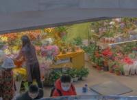 新年贺词祝福语简短2022
