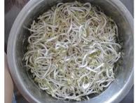 绿豆芽怎么炒最好吃家常做法