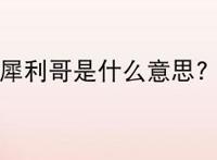 犀利哥是什么意思?
