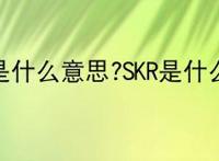 SKR是什么意思?SKR是什么梗