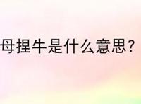 母捏牛是什么意思?
