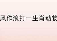 兴风作浪打一生肖动物？