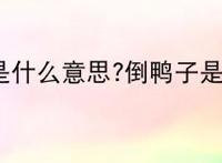 倒鸭子是什么意思?倒鸭子是什么梗