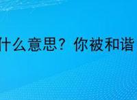 被和谐是什么意思? 你被和谐了指什么