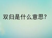 双归是什么意思？