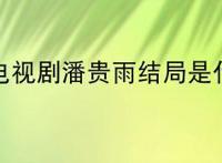 安家电视剧潘贵雨结局是什么？