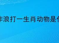 兴风作浪打一生肖动物是什么？