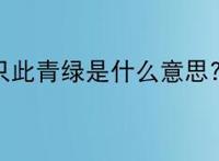 只此青绿是什么意思?