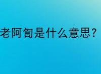 老阿訇是什么意思?