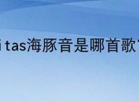 vitas海豚音是哪首歌？