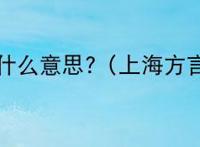 小赤佬是什么意思?（上海方言小赤佬）