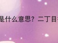 二丁目是什么意思? 二丁目指什么