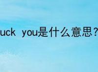 fuck you是什么意思?