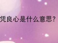 凭良心是什么意思?