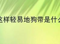 我不会这样轻易地狗带是什么意思?