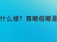 尊嘟假嘟是什么梗？尊嘟假嘟是什么意思？