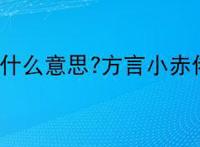 小赤佬是什么意思?方言小赤佬的意思