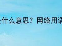 ootd是什么意思？网络用语ootd